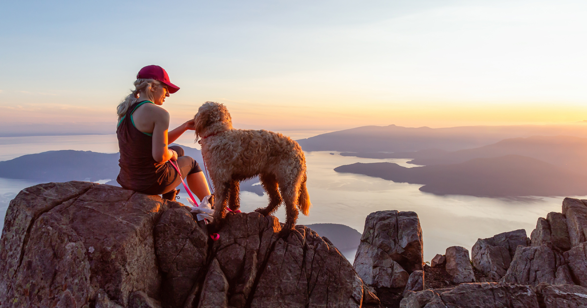 Housing activation and safe sites